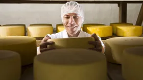 Скоро в России появится много новых сыров