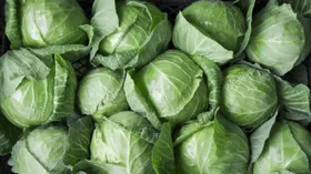 Эксперты назвали 5 самых полезных видов капусты