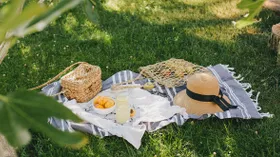 Едем на пикник! Какие продукты взять с собой
