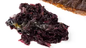 Водоросль порфира