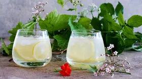Традиционный англосаксонский лимонад