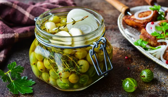 Маринованный зеленый крыжовник