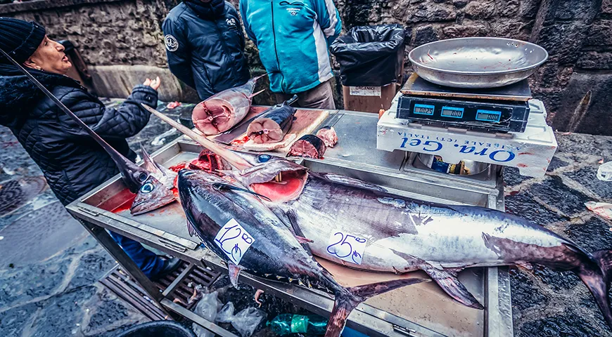 Рыба-меч длинная, торпедообразная, сильно сужающаяся к хвосту. Может достигать 4,5 метров