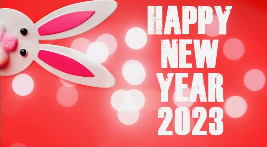 С наступающим Новым 2023 годом! Будьте счастливы!