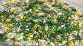 Рецепты с молочной продукцией, фасолью и мясной гастрономией