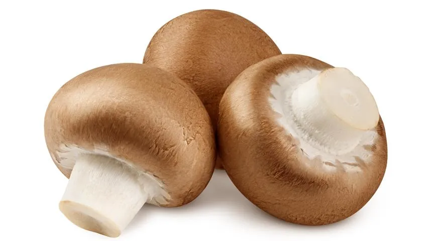 Культивируемые грибы можно есть сырыми