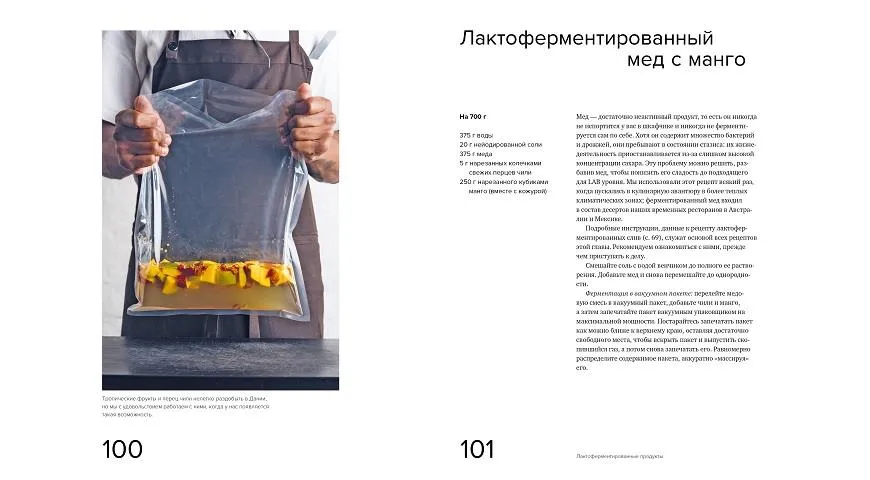 Рецепт лактоферментированного меда с манго из книги «Гид по ферментации от Noma»