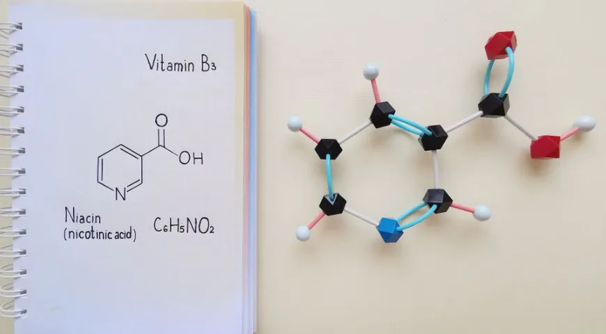 Ниацин, никотиновая кислота, витамин РР - все это варианты названия витамина В3