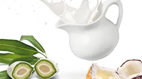 Чем заменить молоко