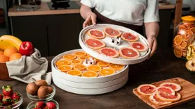 Что приготовить в дегидраторе: от легких перекусов до праздничных закусок