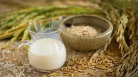 Рисовое молоко: рецепт всего из двух ингредиентов