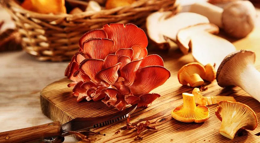 В Москве открывается монопродуктовый ресторан Mushrooms