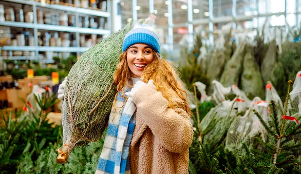Как выбрать живую елку на Новый год и за сколько дней покупать