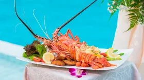 Чем отличаются омар, лобстер и лангуст: внешний вид, особенности вкуса и приготовления