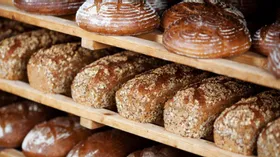 В России запретили продавать хлеб из муки для комбикорма. Оказывается, мы ели именно такой!