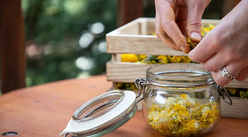 Самый надежный способ сохранить цветы до следующего сезона&nbsp;— аккуратно высушить их