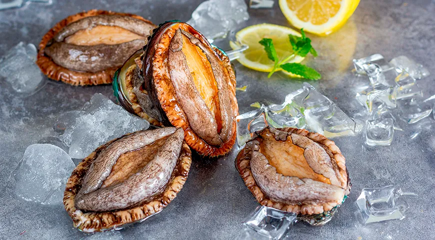 Морское ушко — редкий морской моллюск, отличающийся высоким содержанием полноценного белка и ряда микроэлементов (цинк, селен, витамин B12)