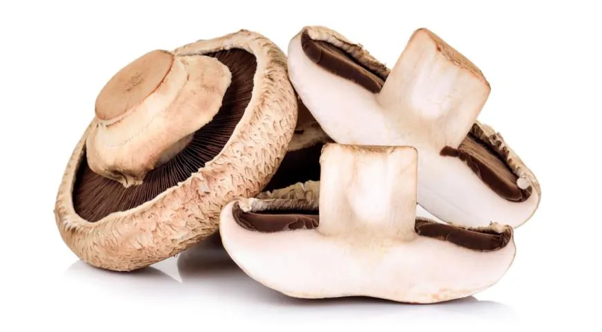 Шампиньоны портобелло