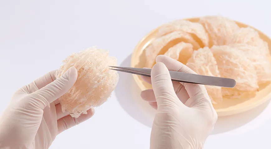 Перед приготовлением ласточкины гнезда замачивают в холодной воде, а затем аккуратно удаляют оставшиеся грязь или волокна