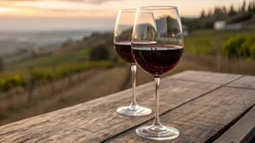 Сухое вино: чем отличается от сладкого и полусладкого и почему оно ценится во всем мире