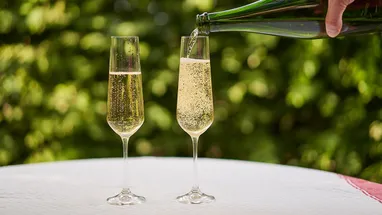 Рецепты домашнего шампанского из винограда, виноградных листьев и листьев смородины