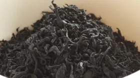 Бурые водоросли