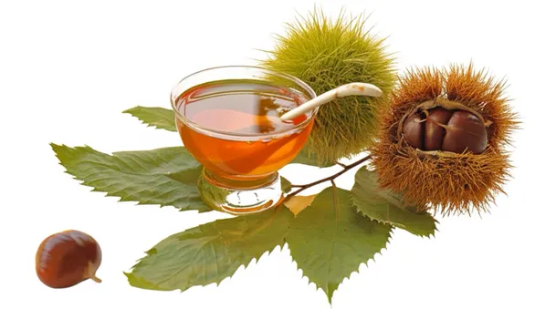 Каштановый мед