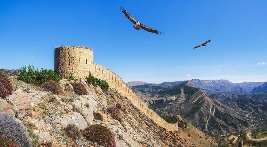 Дагестанская легенда гласит о том, что когда-то горцы были орлами, а потом спустились на землю