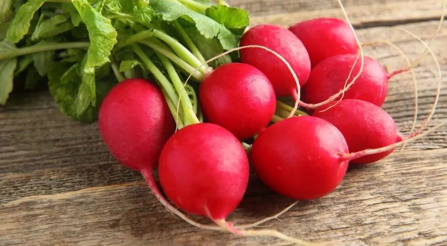 Редис богат витамином С и ценными минеральными соединениями