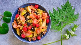 Рецепты с птицей и малиной