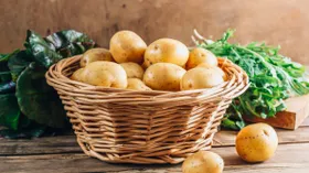 Зачем картофелю глазки и можно ли их есть