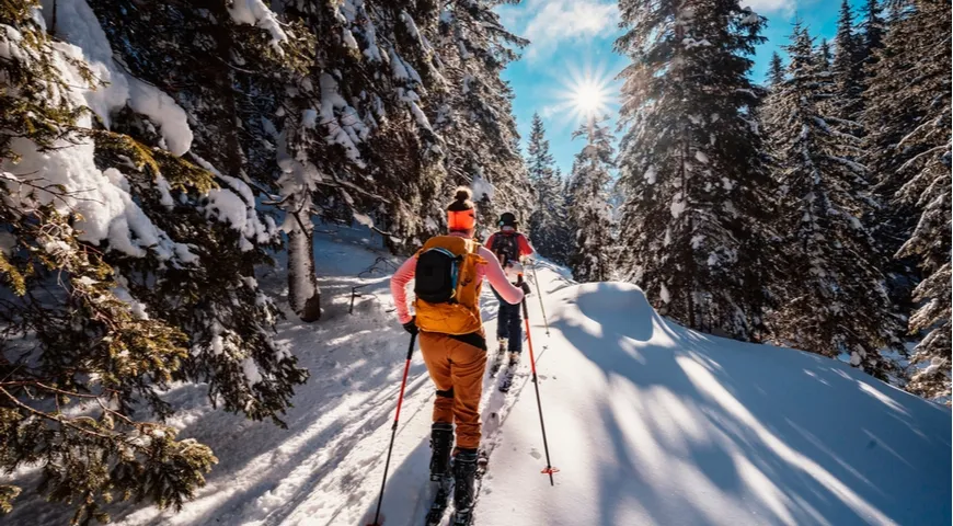 Лыжная прогулка — лучшее средство для оздоровления и прекрасного настроения