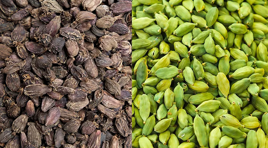 Зеленый кардамон (Elettaria cardamomum) и черный кардамон (Amomum subulatum) 