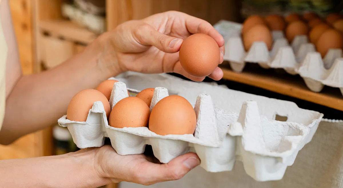 Главный залог успеха — яйца максимальной свежести