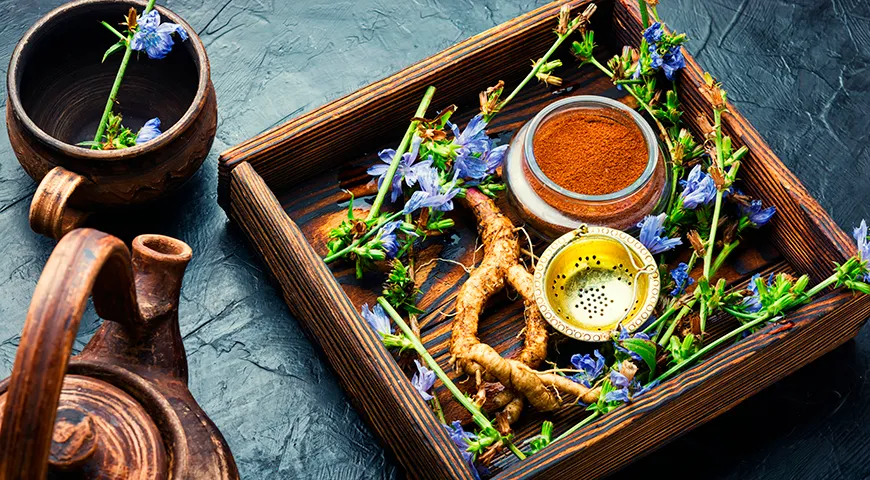 Для приготовления напитка необходим очищенный корень цикория обыкновенного (Cichorium intybus)