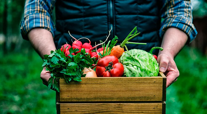 Локальные продукты срывают на пике зрелости, и уже через несколько часов они могут оказаться на вашем столе