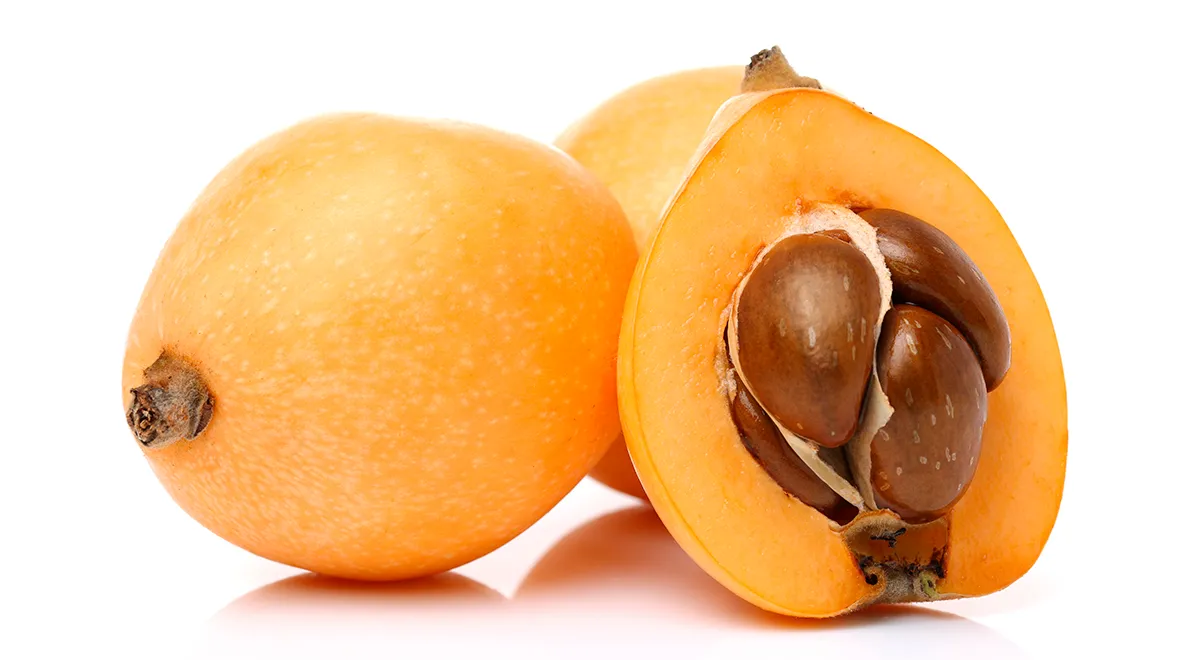 Мушмула японская