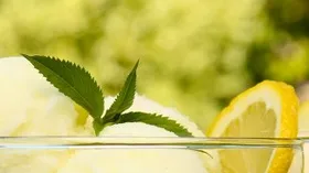 Простые рецепты с молочной продукцией и лимоном
