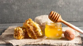 Из-за аномально теплой зимы через пару лет мы может остаться без меда