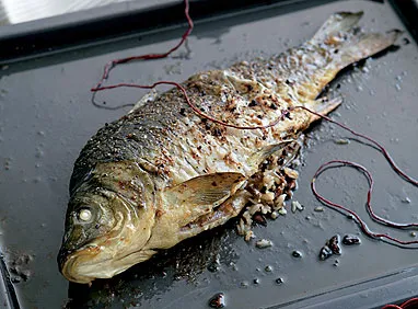  Самая опасная рыба