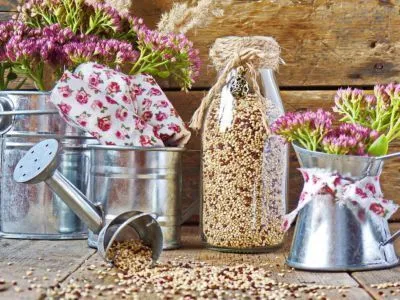 Киноа – рецепты