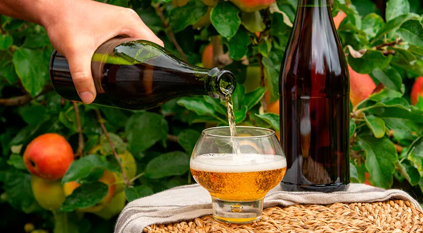 Лучше всего подавать сидр в тюльпанообразных бокалах