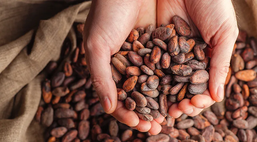 В какао содержится большое количество антиоксидантов