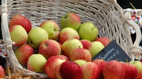 Рецепты блюд из яблок — яблочный пирог, соус, фаршированные яблоки