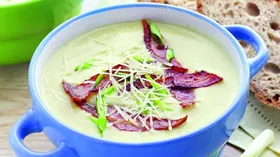 Рецепты для блендера с луком пореем и молочной продукцией