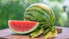 Разбираемся в сортах арбуза: какие самые вкусные, как выбрать и где покупать