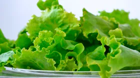 Как сохранить листовой салат свежим на целую неделю с помощью хитрых приемов