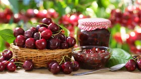 Диетолог объяснила, почему нужно есть черешню прямо сейчас