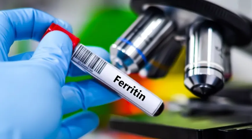 Анализ на ферритин помогает оценить состояние запасов железа, из которых можно черпать ресурс