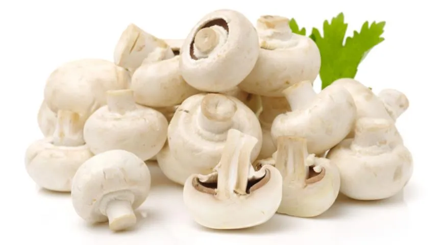 Белые шампиньоны